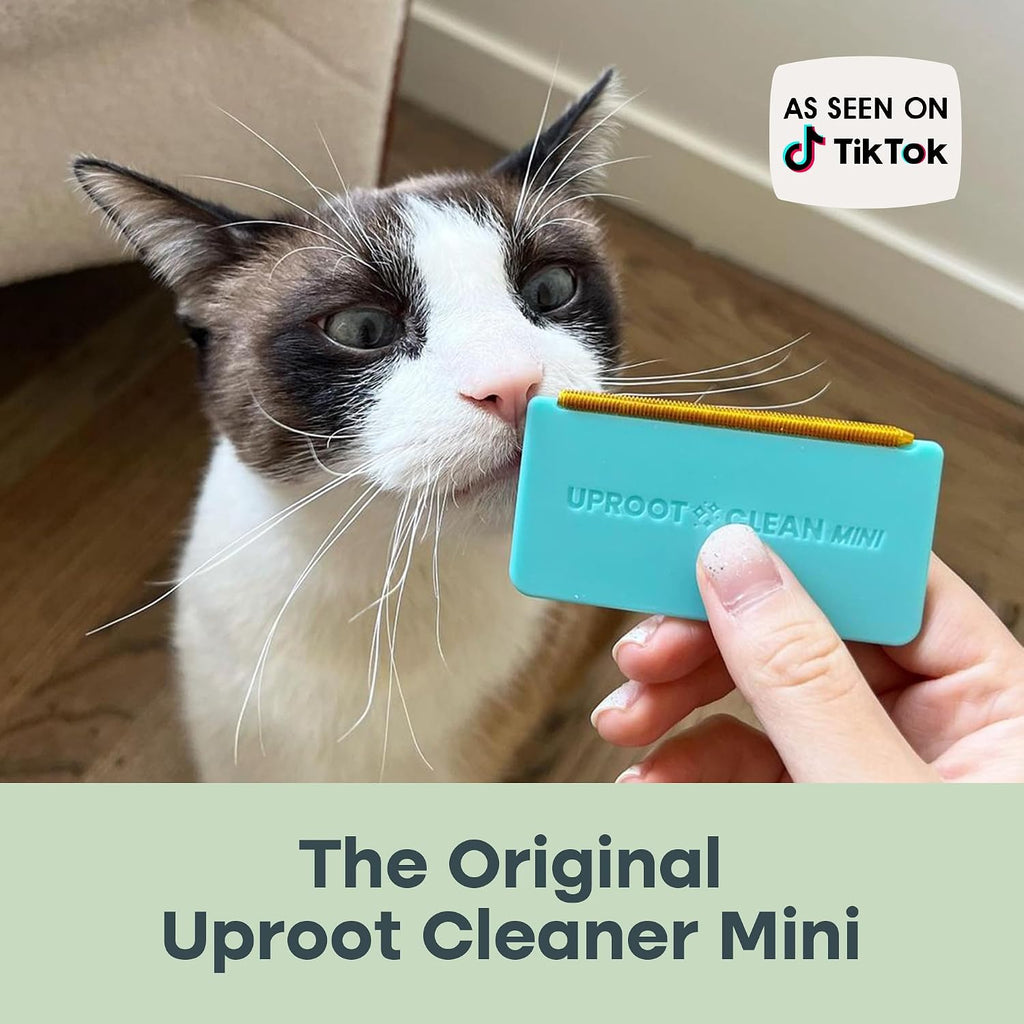Comparison of dirty versus clean fabric using Uproot Cleaner Mini