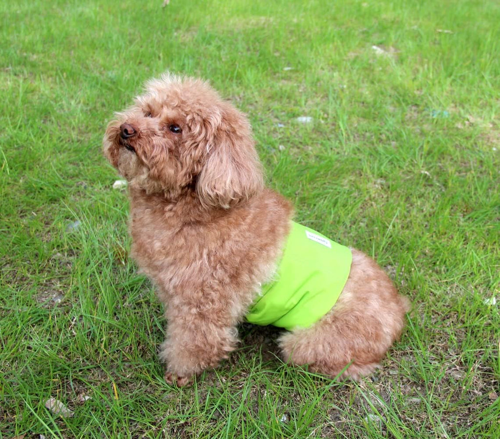 Packaging view of the vecomfy washable wraps for small male dogs