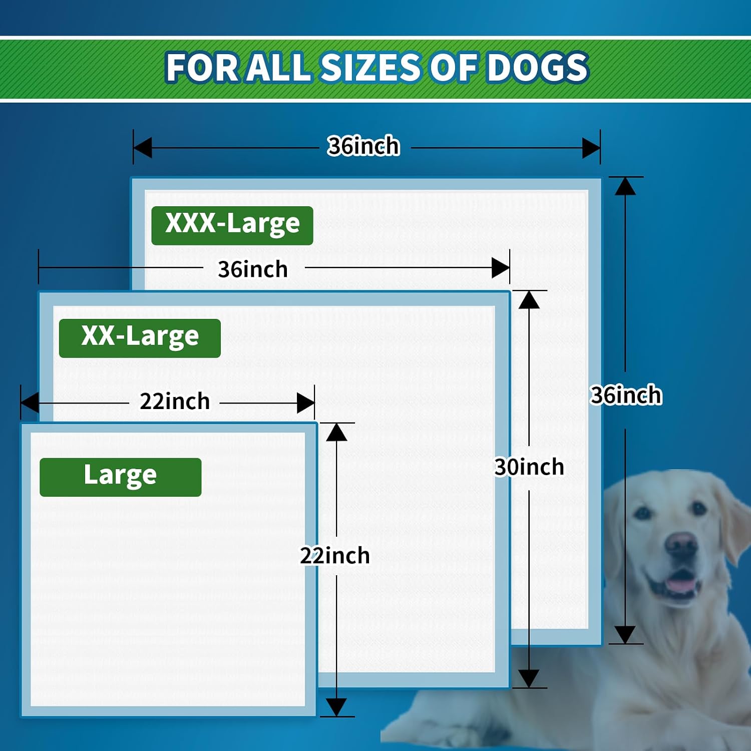 Authentic USA imported dog urination mats for large dog breeds.