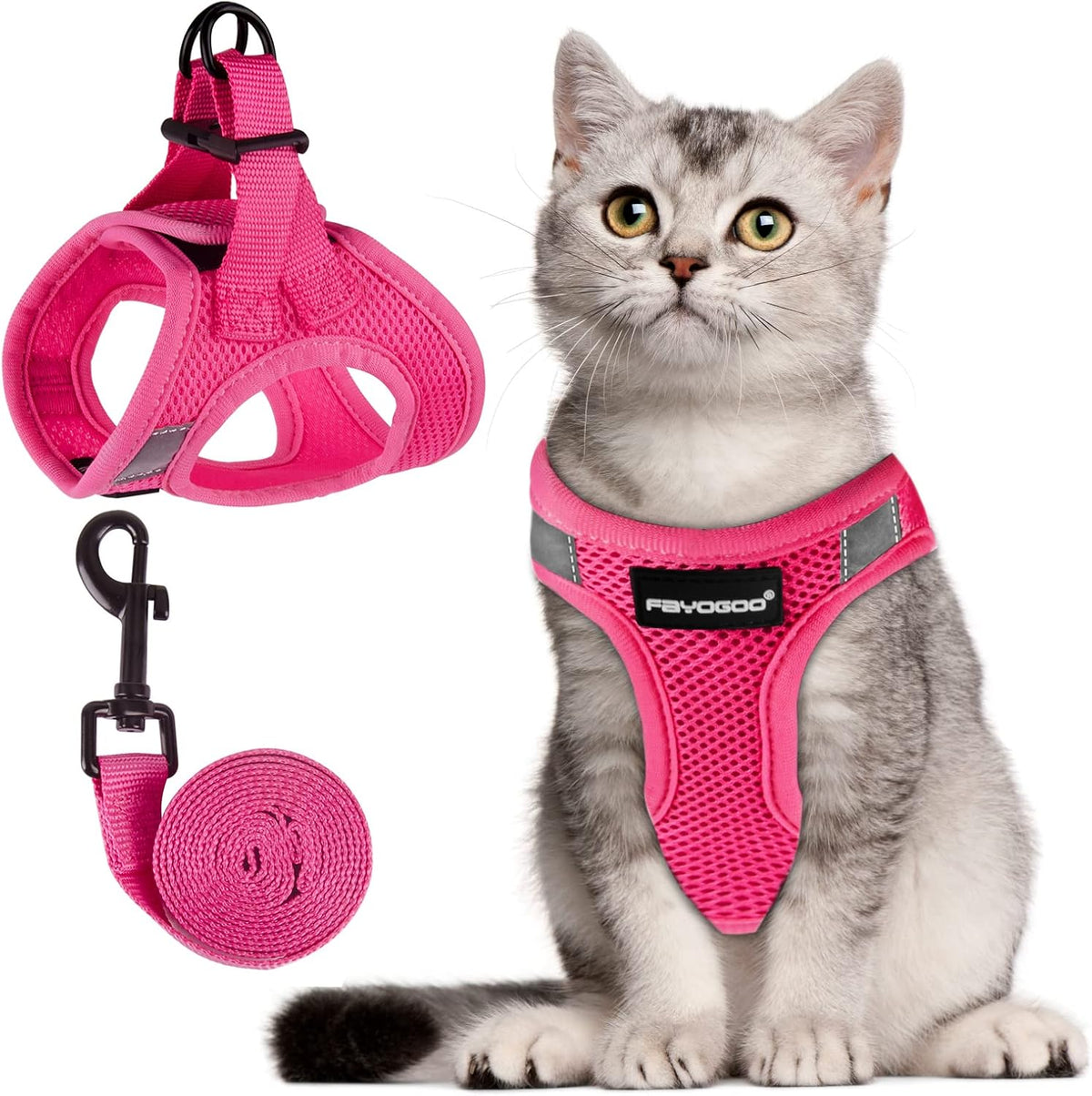 FAYOGOO secure fit cat harness package with five foot walking leash included
