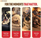 Single ingredient beef treats for medium and large dogs