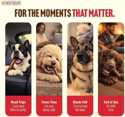Single ingredient beef treats for medium and large dogs