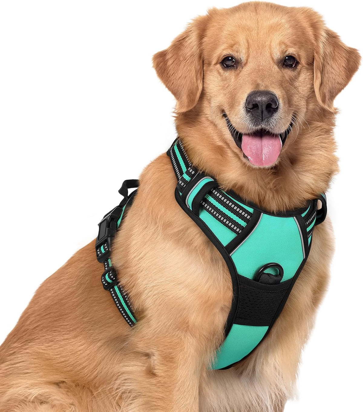 rabbitgoo Dog Harness No Pull with 2 Leash Clips, Adjustable Soft Padded, Reflective Oxford No Choke Pet Vest with Easy Control Handle for Large Dogs, Black, L - Image 11