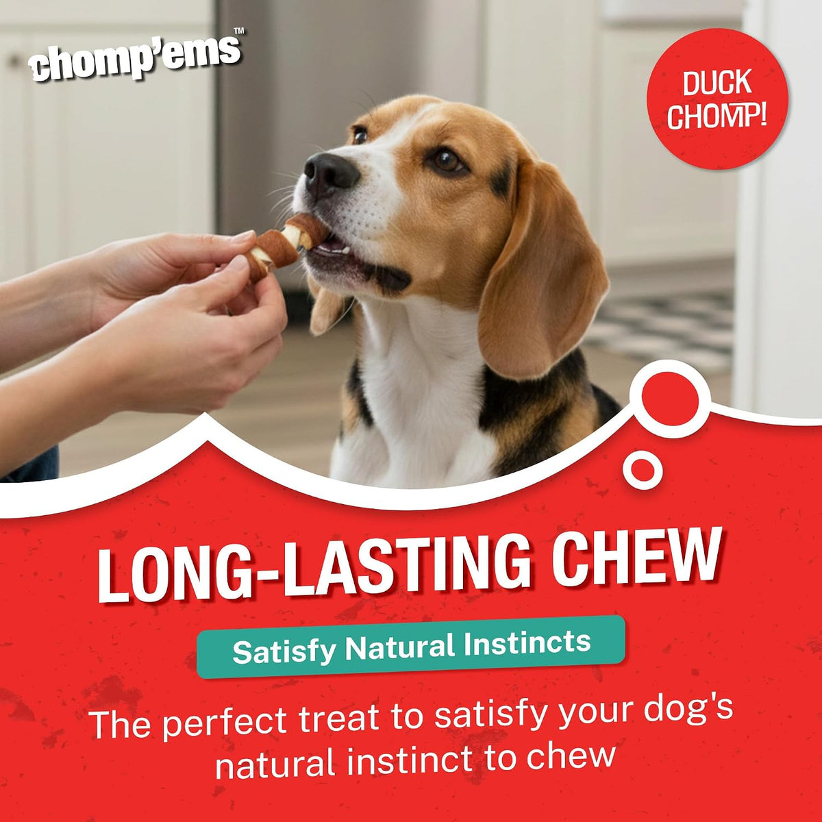 USA imported Chomp'ems premium beefhide treats for plaque and tartar control in dogs.