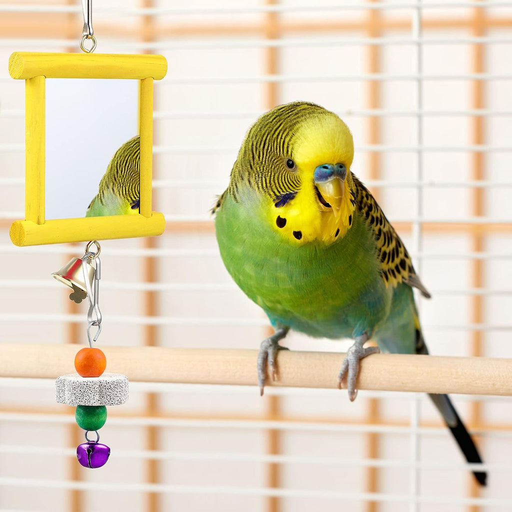 Educational diagram showing beak grinding stone usage for birds