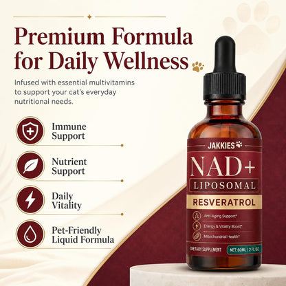 Amber glass bottle of Jakkies cat vitality supplement with the dropper applicator displayed
