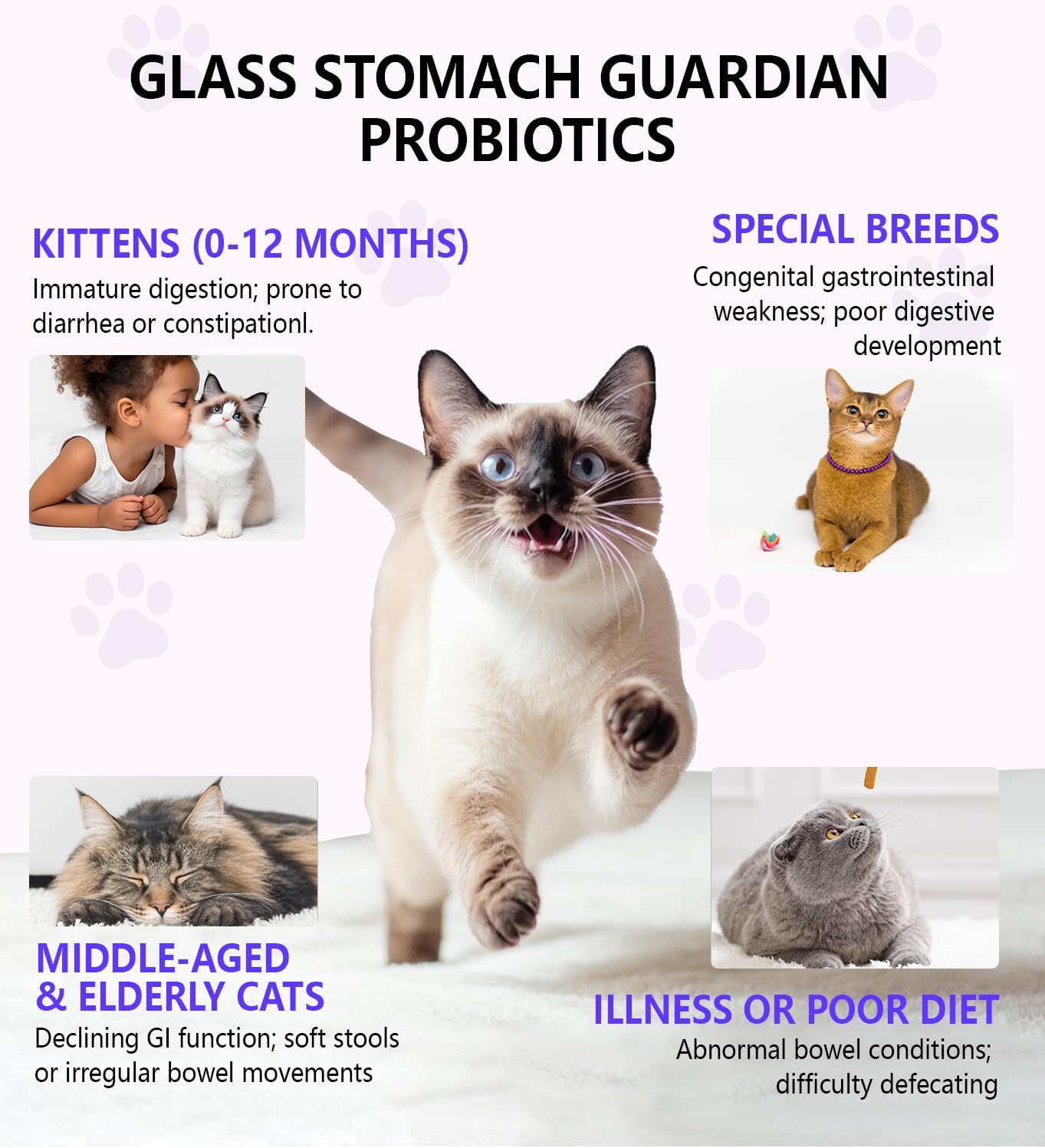 Feline digestive health supplement bottle highlighting the six probiotics formula.