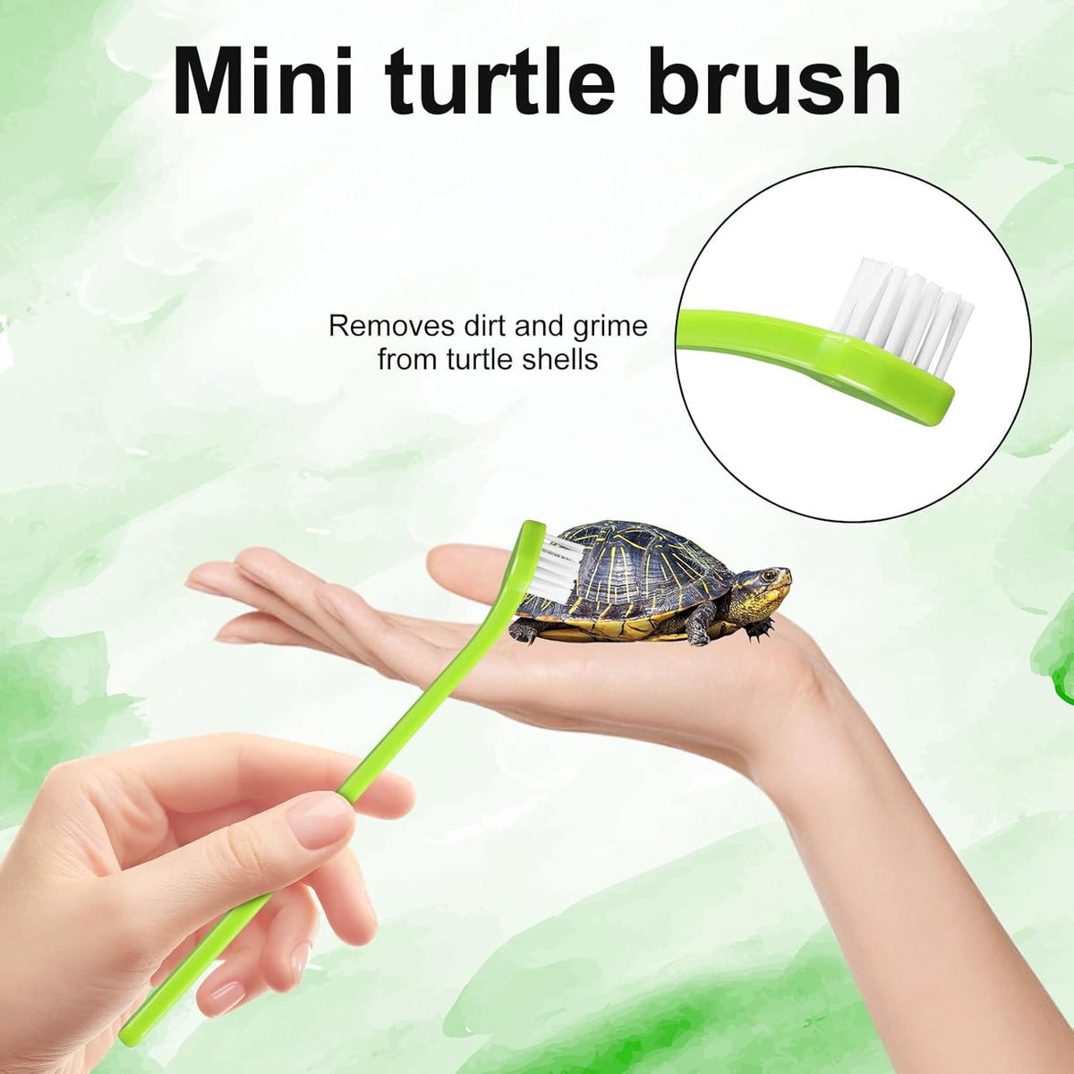 Gosknor premium turtle shell cleaning kit packed with two pieces