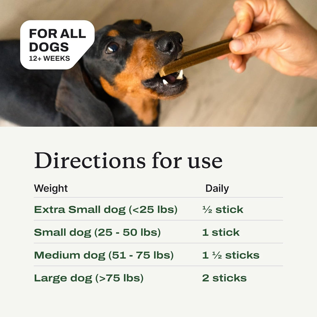 Dog enjoying PetLab Co. prebiotic dental chew