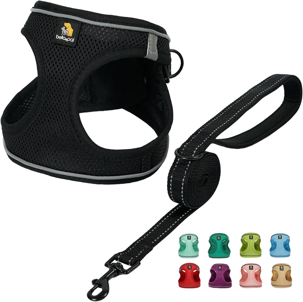 BELLA & PAL Step in Vest Harness for Small and Medium Dogs, No Pull Small Dog Harness with Leash Set, Comfortable Air Mesh Puppy Vest Harness with Reflective Strip (Lavender, XS) - Image 13