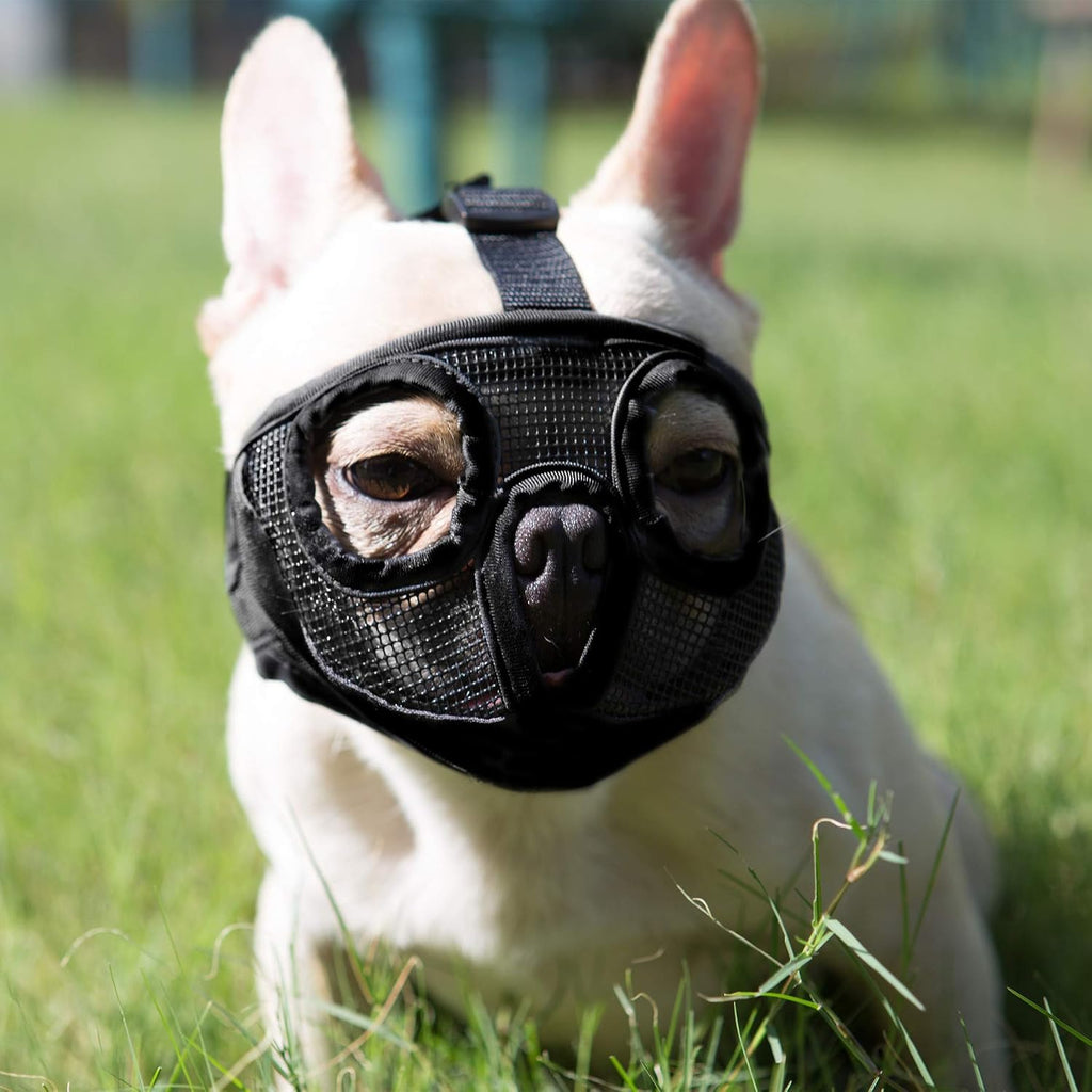 JYHY short snout dog muzzle front view black medium size adjustable mesh mask