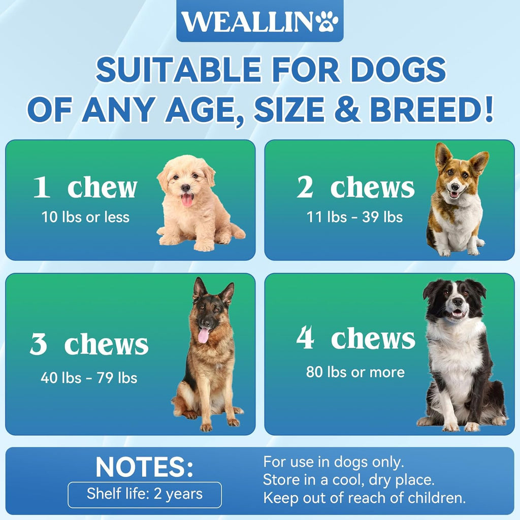 Dog eating Weallin chicken flavored multivitamin chew