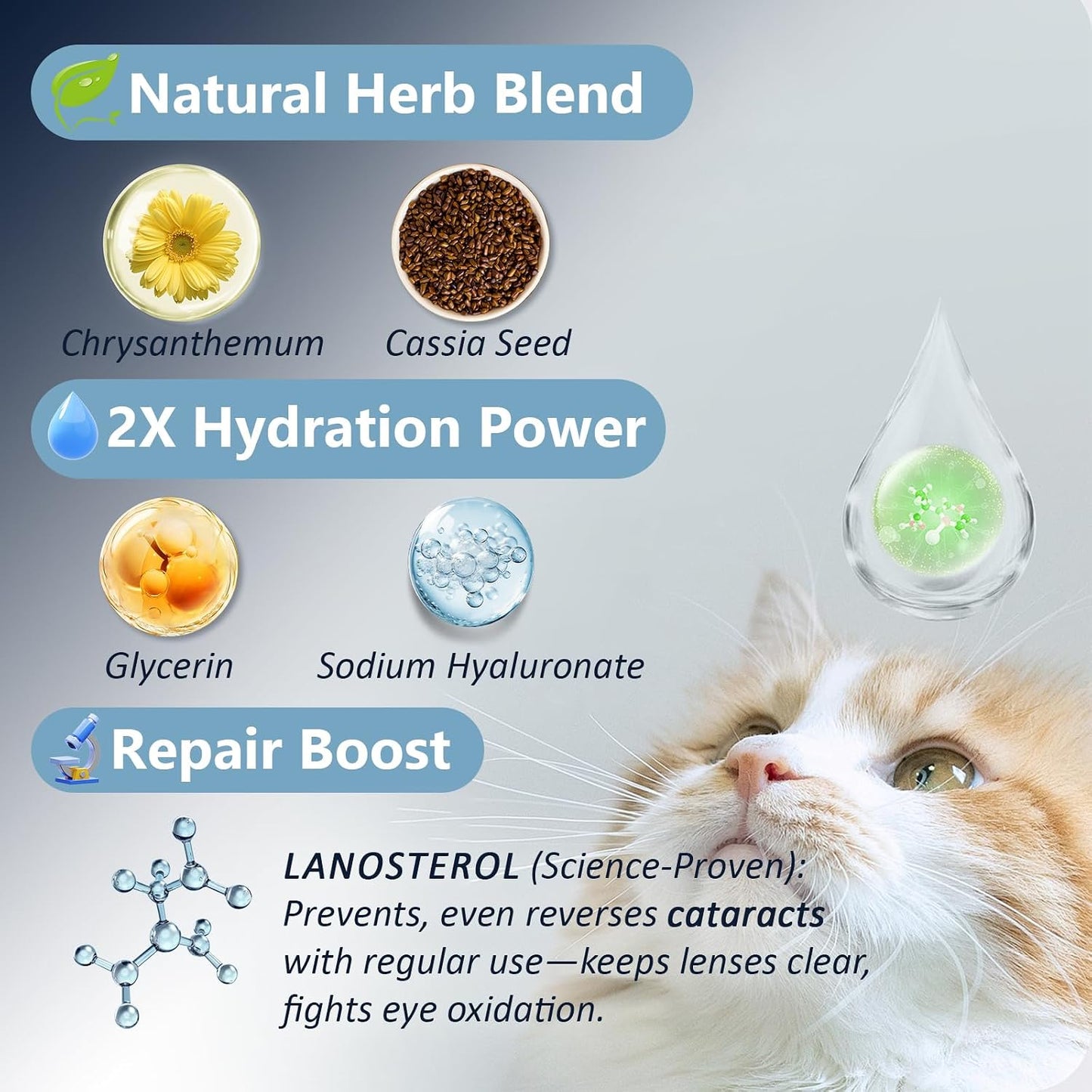 Msktasy advanced lanosterol solution twin pack for cloudy and watery pet eyes