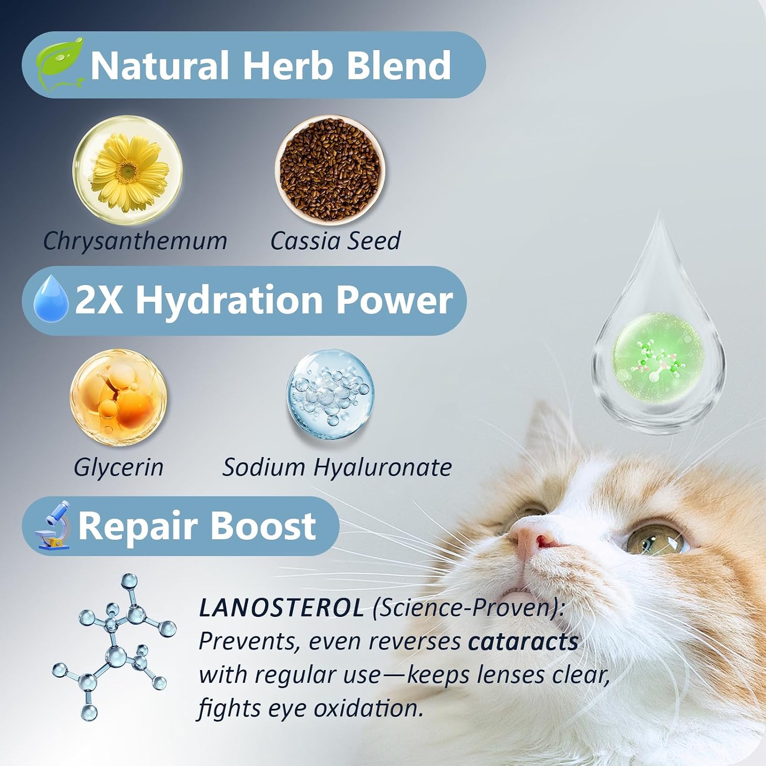 Msktasy advanced lanosterol solution twin pack for cloudy and watery pet eyes