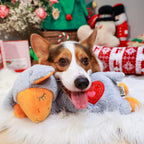 ALL FOR PAWS Heart Beat Dog Toy, Puppy Sleeping Buddy Cuddle Toy Dog Soothing Plush Toy, Crate Training Puppy Stuffed Animal Gift Toys for Your Furry Friend - Image 9