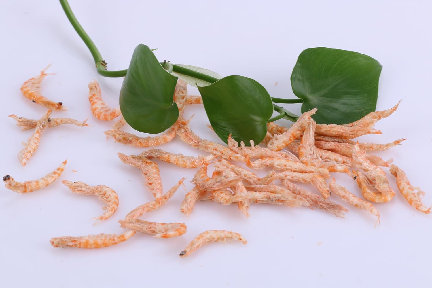 Premium Freeze-Dried Krill & Shrimp Mix Ideal for Arowana, Koi, Tropical Cichlids, and Turtles High Protein Floating Aquarium Food (1000ml) - Image 9