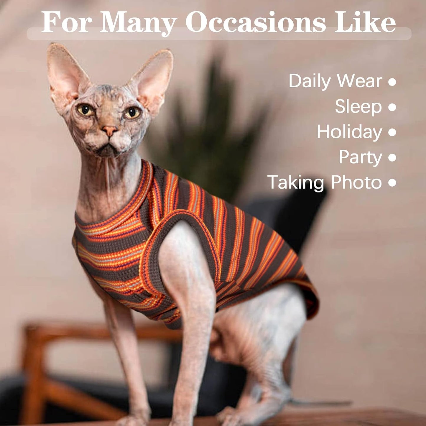 Cat wearing comfortable summer cotton shirt for daily lounge