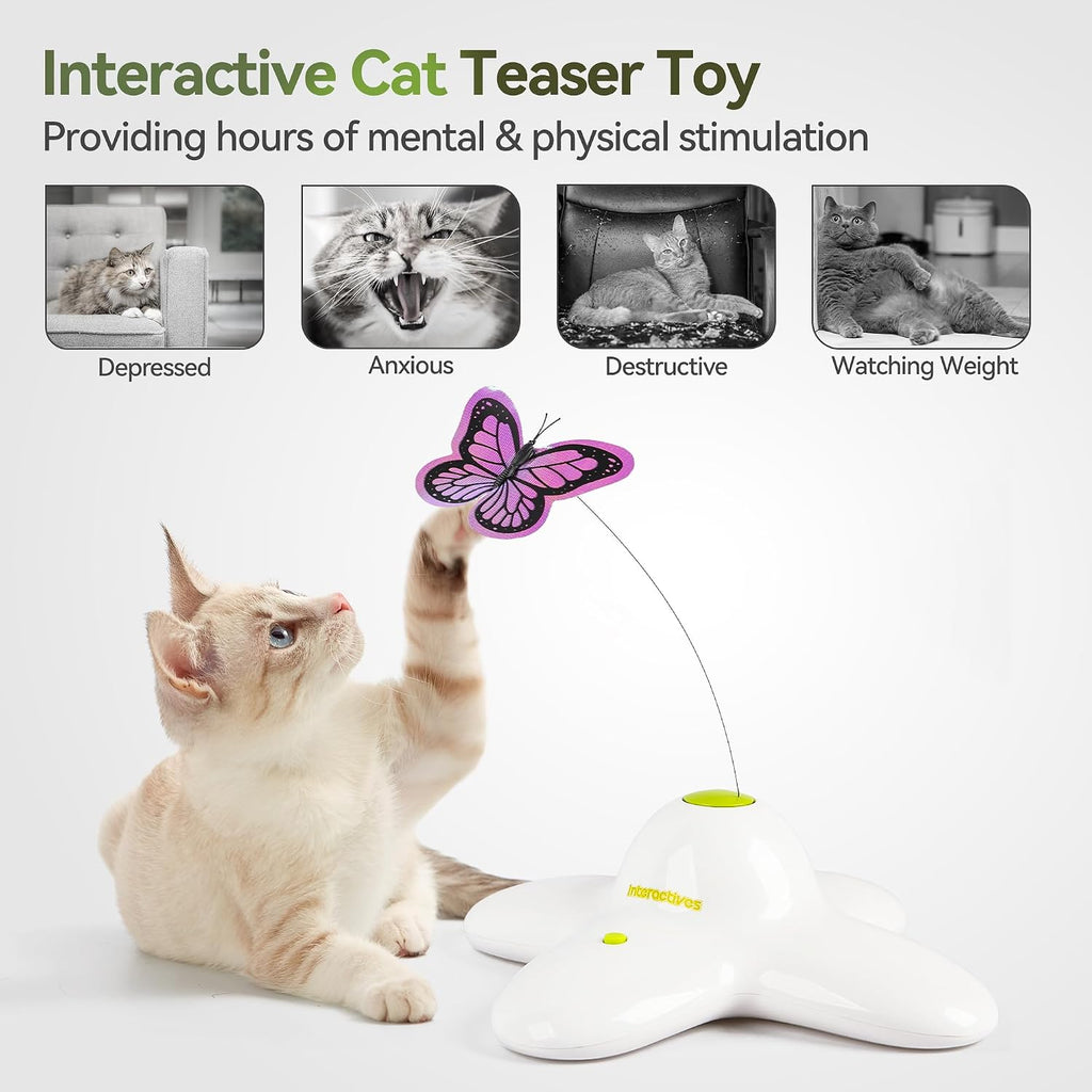 All For Paws automatic cat toy battery compartment detail