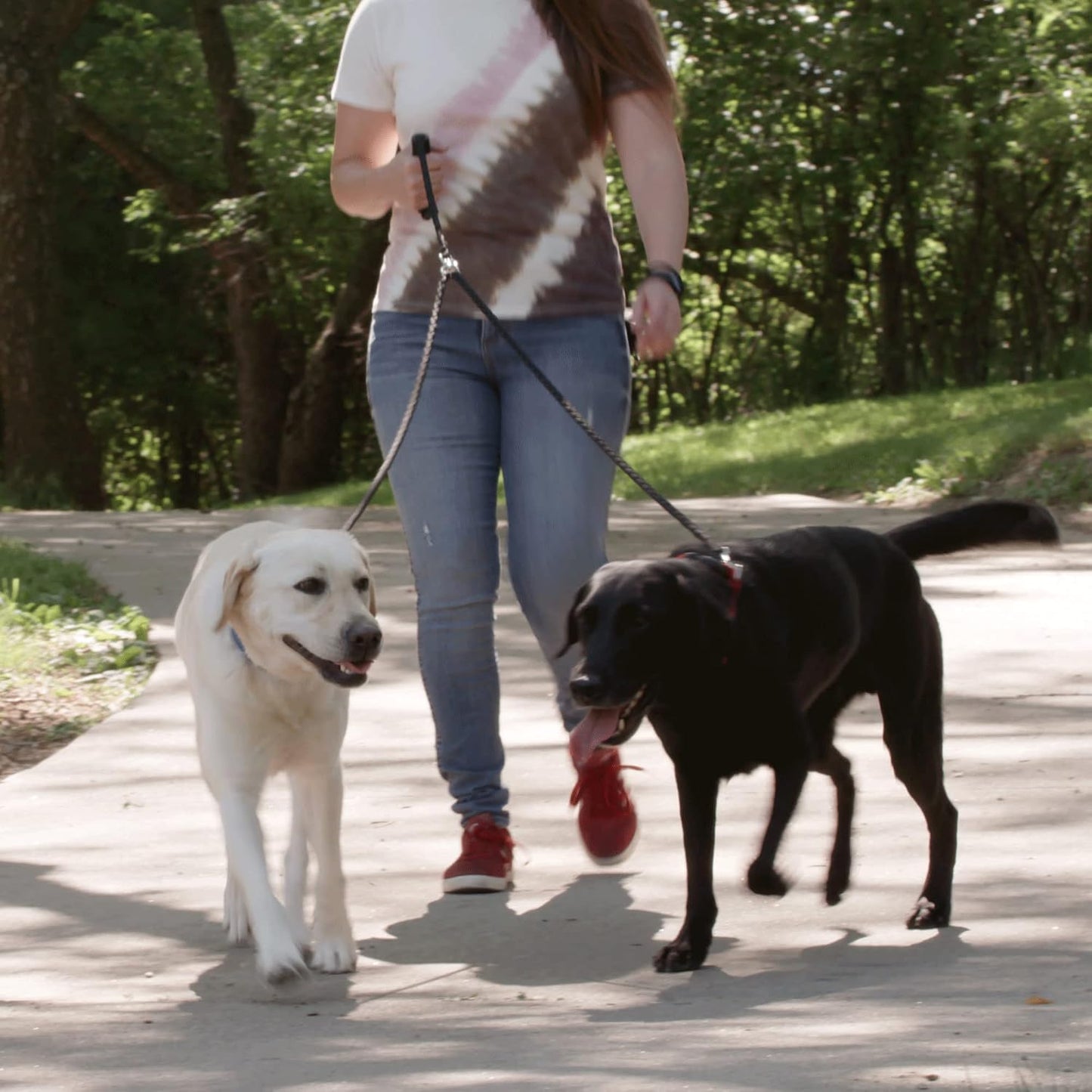 Authentic USA imported heavy duty dual leash for two dogs showing strong build.