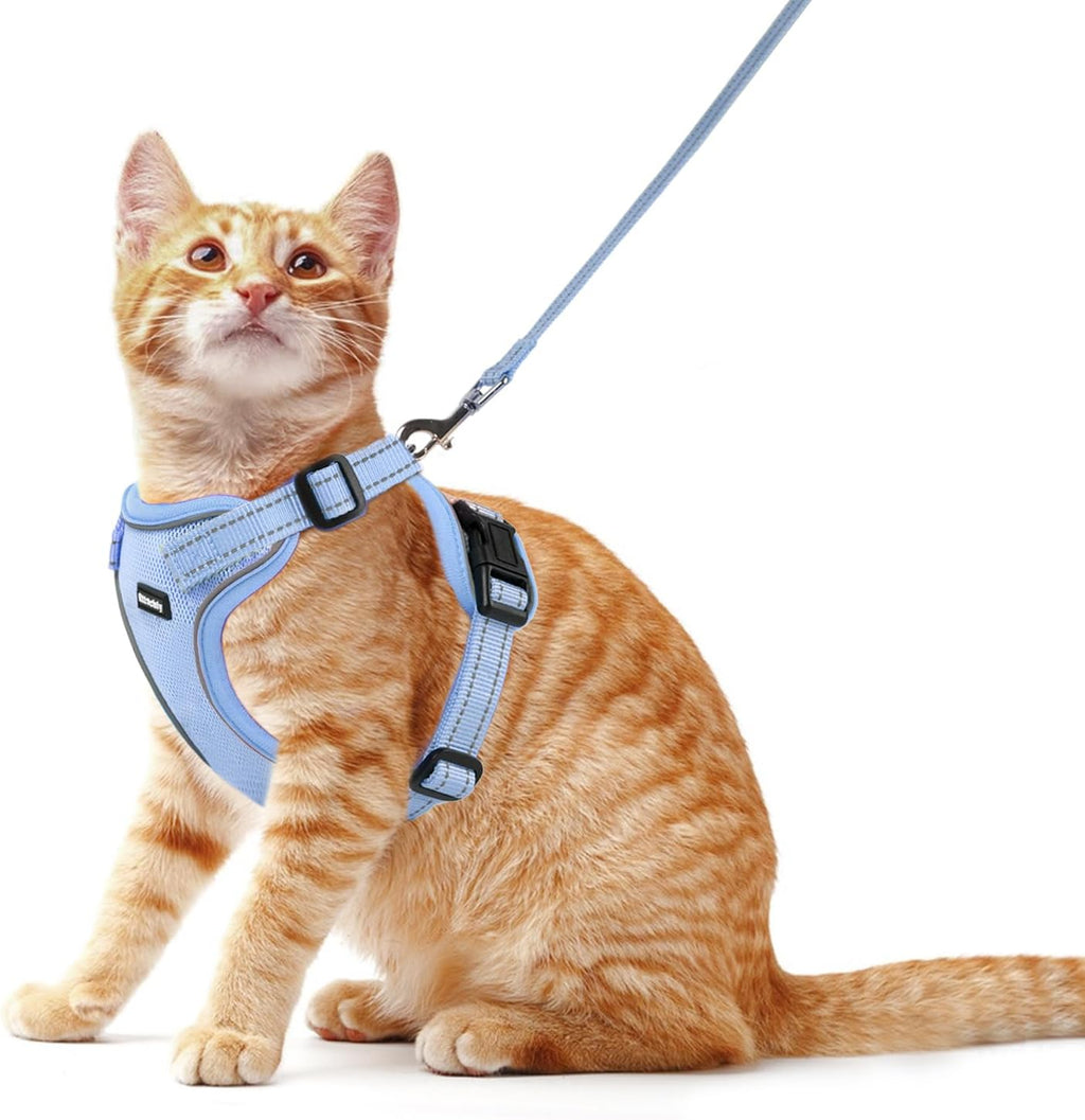 Rttochfy premium green cat harness packaging contents complete walking kit