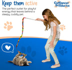 Kitten stalking the Cat Dancer interactive toy