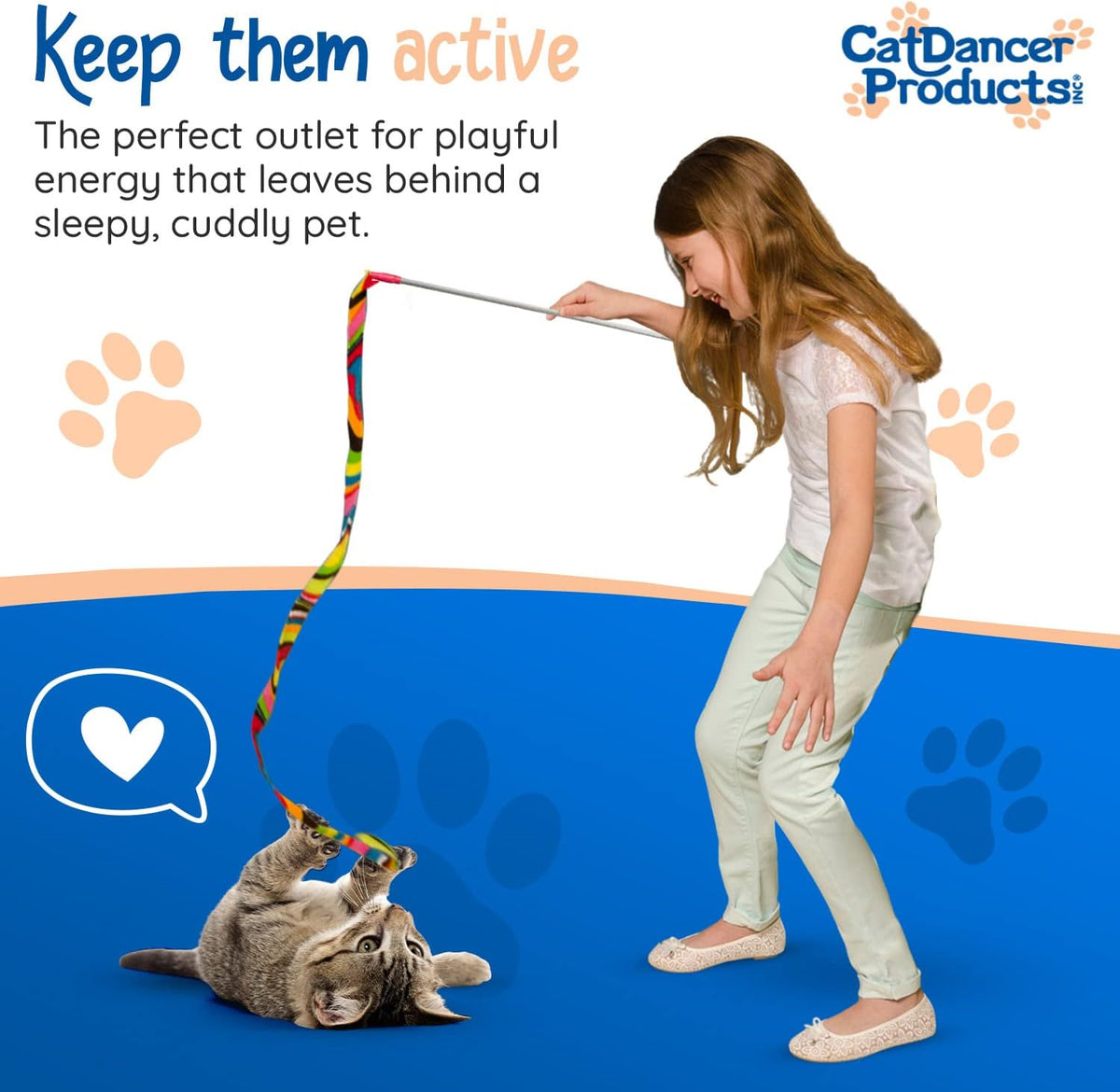 Kitten stalking the Cat Dancer interactive toy