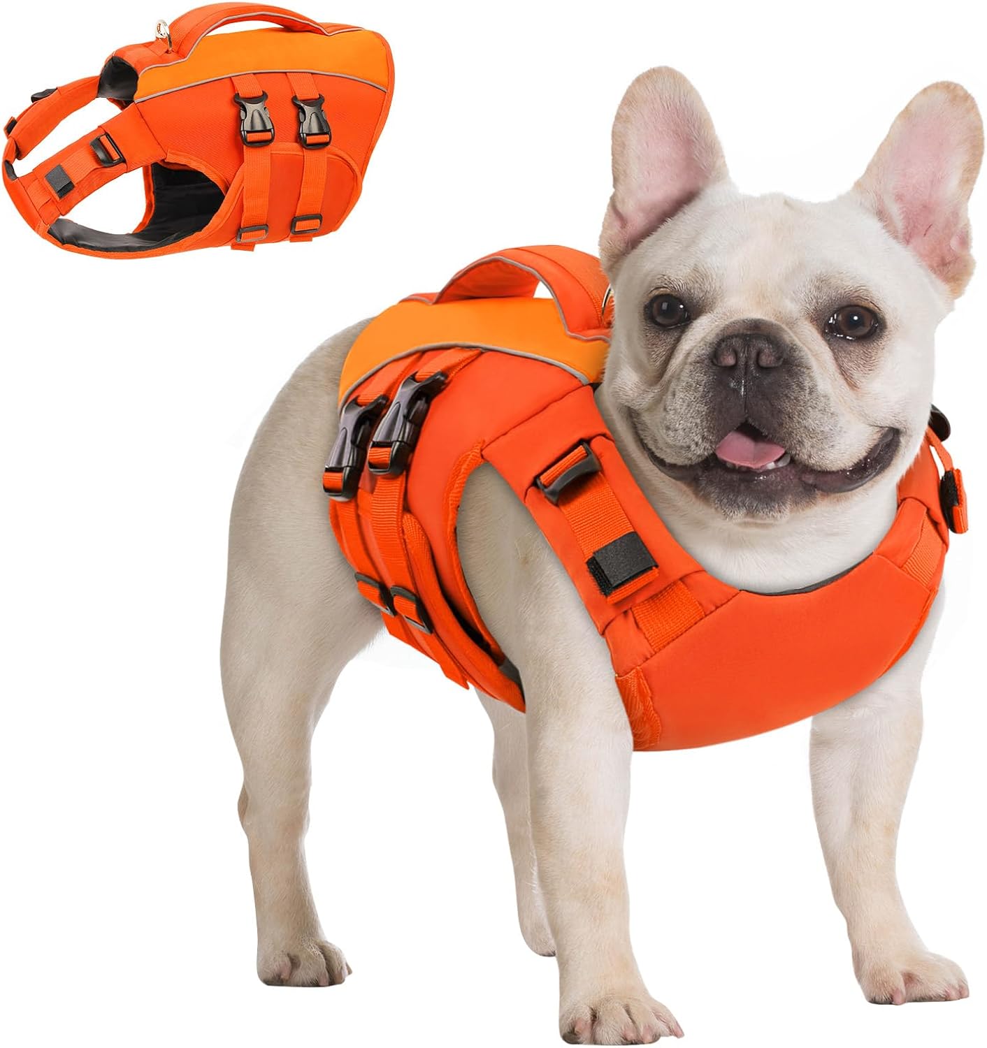 Queenmore Small Dog Life Jacket,Small Dog Life Vest for Swimming,Adjustable Reflective Dogs Swimming Vest,High Buoyancy Dogs Lifesaver,Pet Life Preserver(Green,S) - Image 13