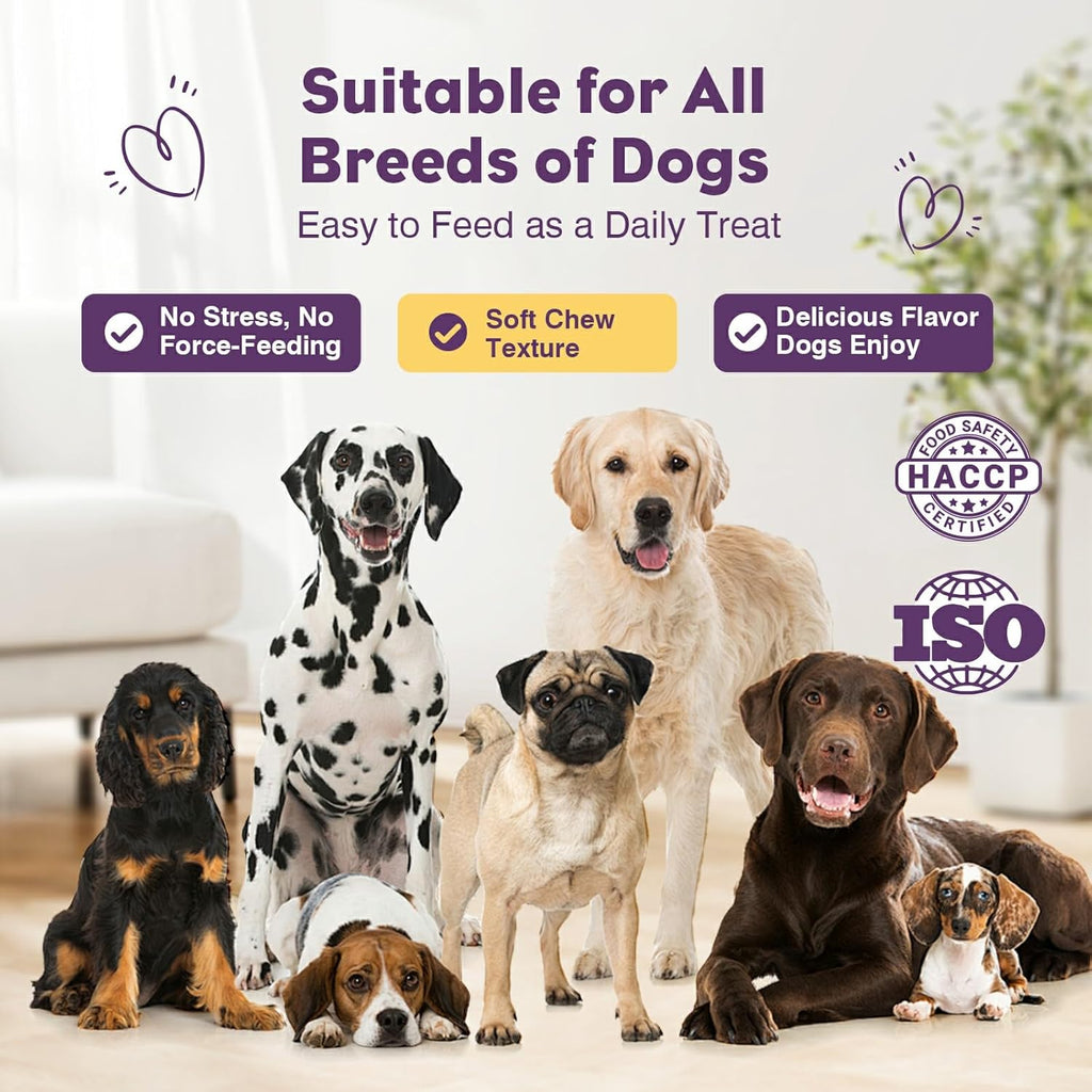 Educational graphic showing dog gut health and immunity benefits