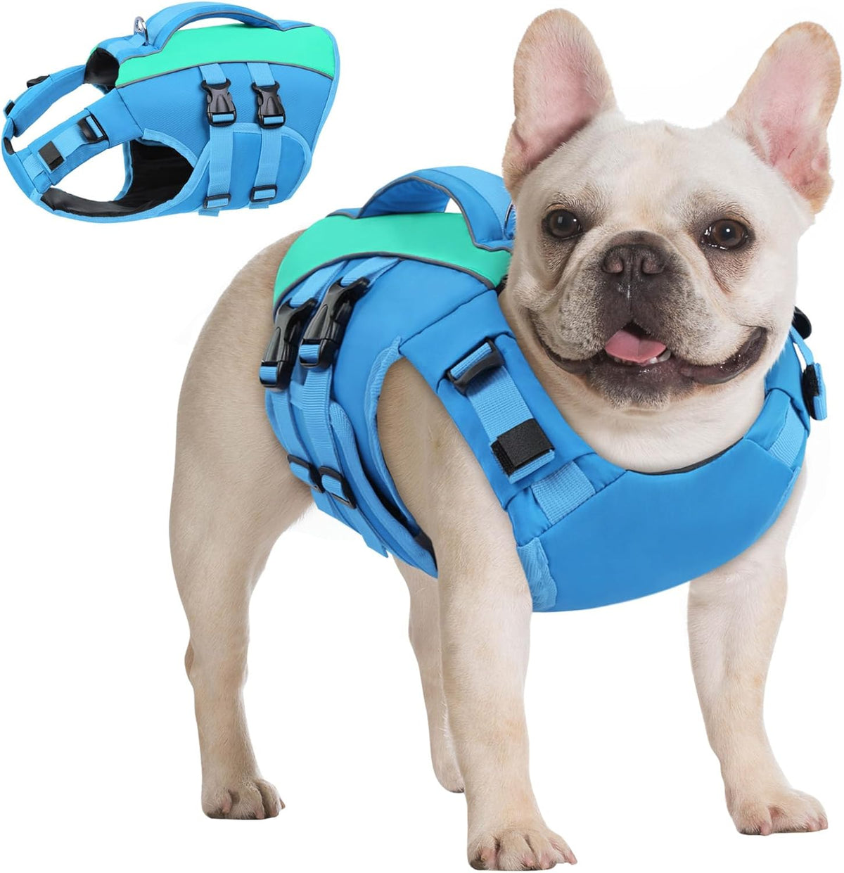 Queenmore Small Dog Life Jacket,Small Dog Life Vest for Swimming,Adjustable Reflective Dogs Swimming Vest,High Buoyancy Dogs Lifesaver,Pet Life Preserver(Green,S) - Image 11