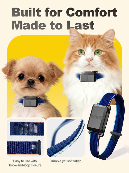 Rechargeable wireless dog and cat fence system components.