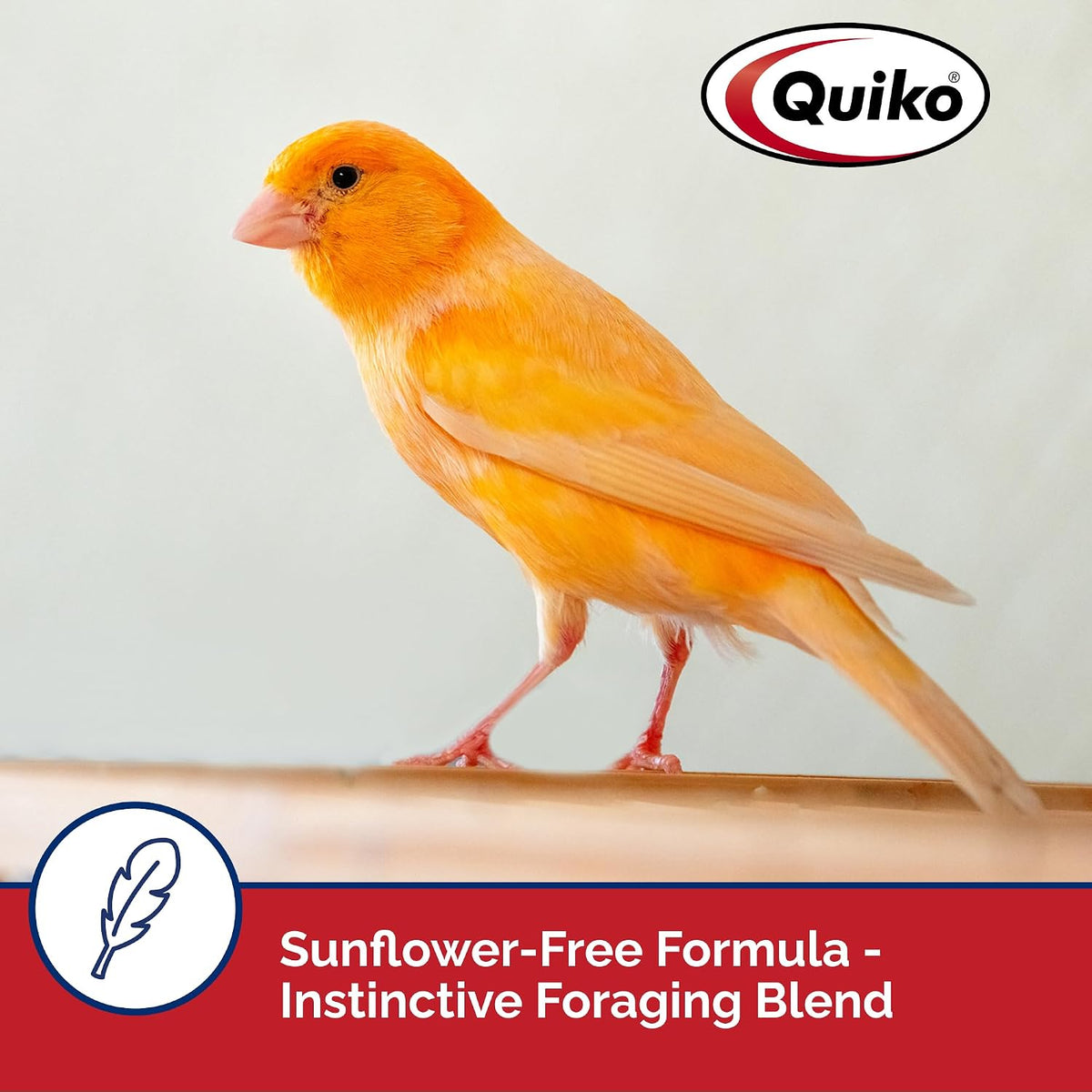 Quiko Special Red Egg Food Supplement, Red-Factor Formula With Canthaxanthin For Canaries, 1.1 Lb. Pouch - Image 3