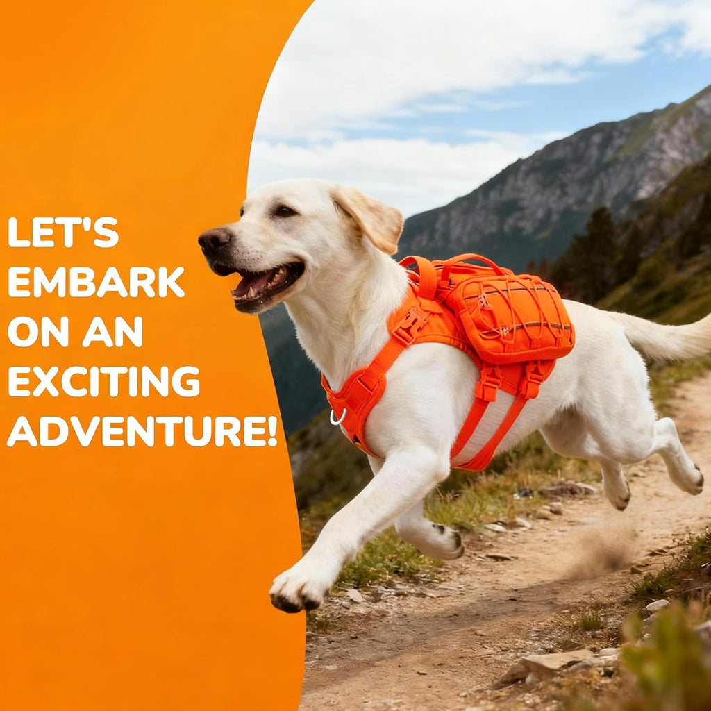 Large Labrador wearing the orange AOKOWN dog backpack harness while walking outdoors on a trail.