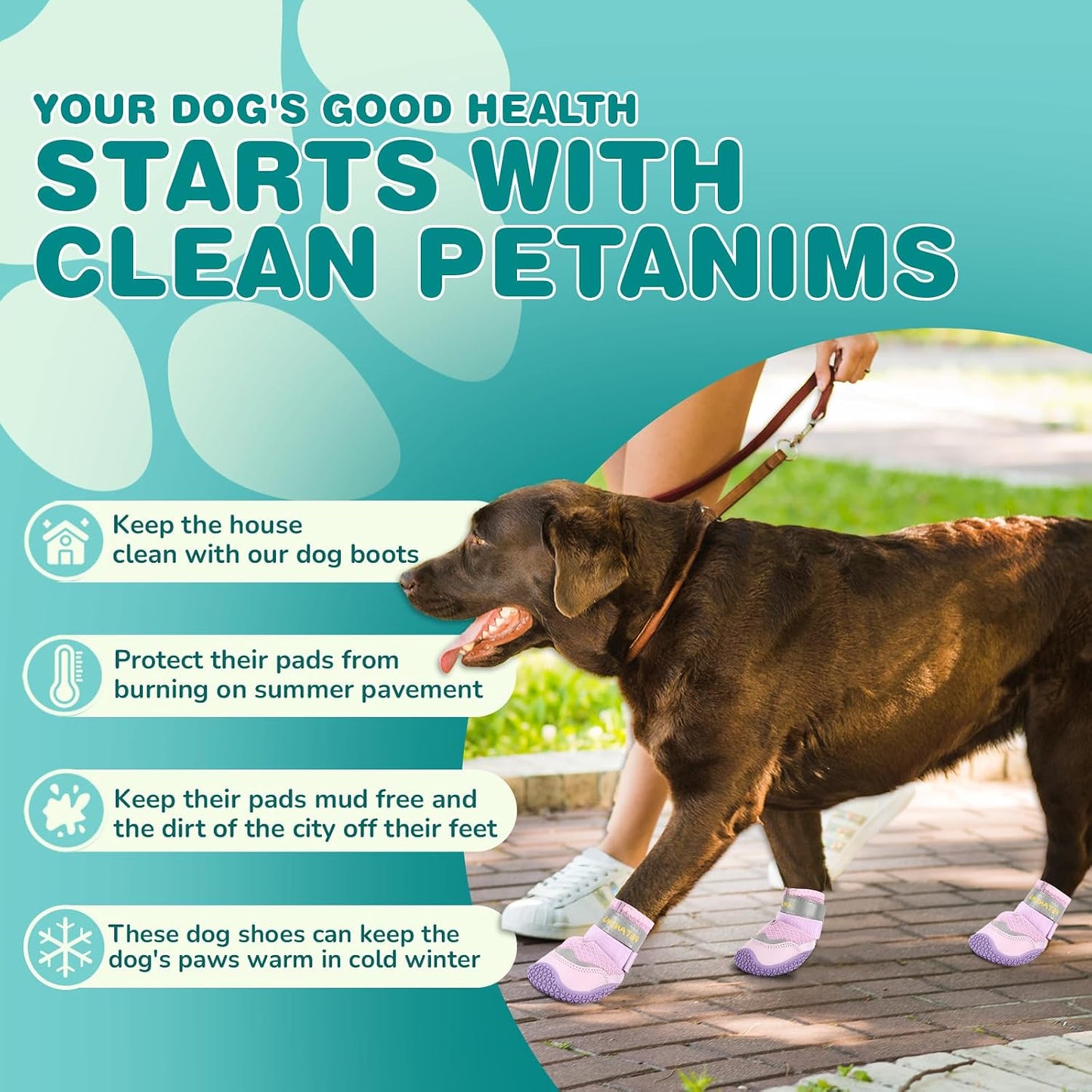 Side view of Petanims breathable dog shoes with reflective strap