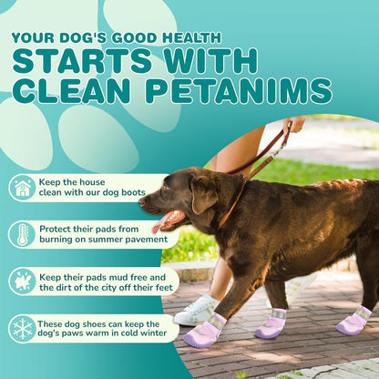 Side view of Petanims breathable dog shoes with reflective strap