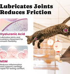 Pet Honesty feline joint health supplement nutrition facts