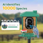 Bird Feeder with Camera Outdoor Solar: Smart Birdfeeder with AI Recognition - 2K HD Live Stream Video Camera for Outside Wild Birds Garden Decor - Bird Lover Gifts - Image 3