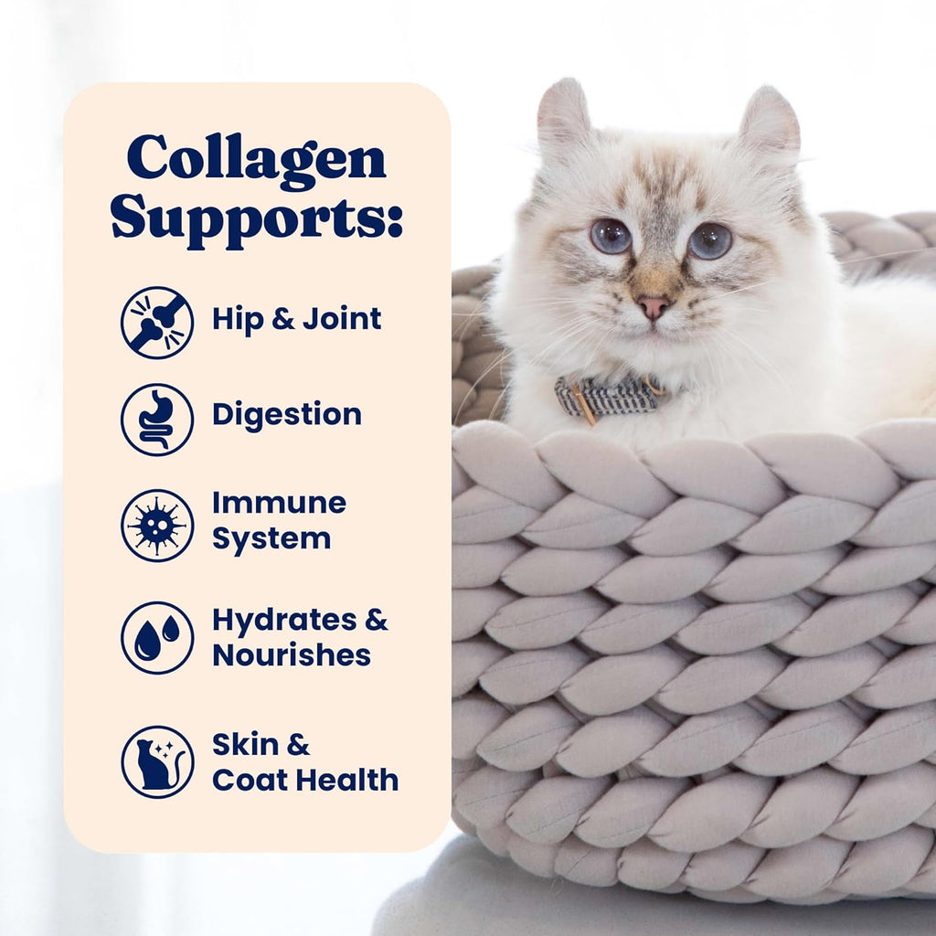 Holistic feline liquid treat with collagen protein for digestive support.