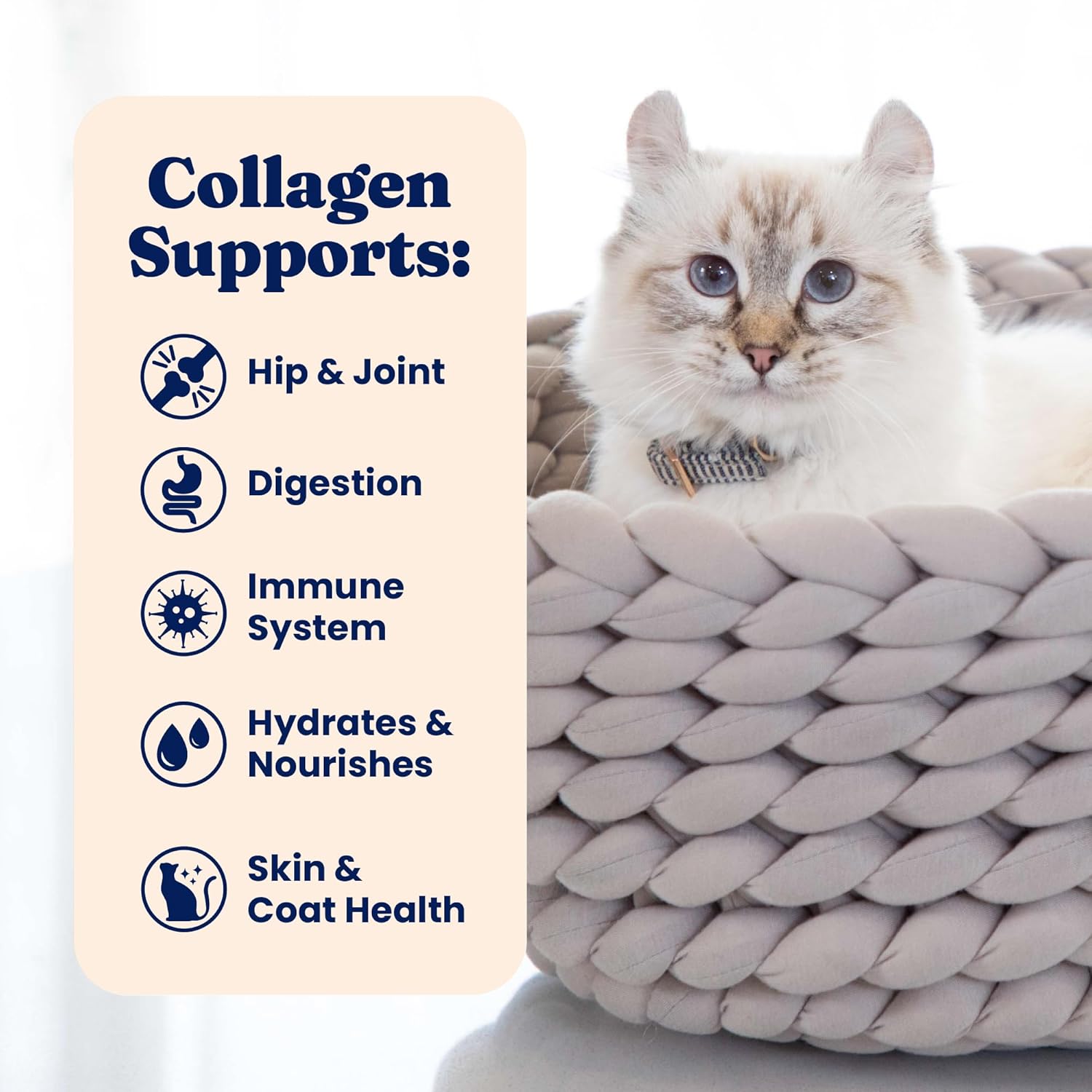 Holistic feline liquid treat with collagen protein for digestive support.