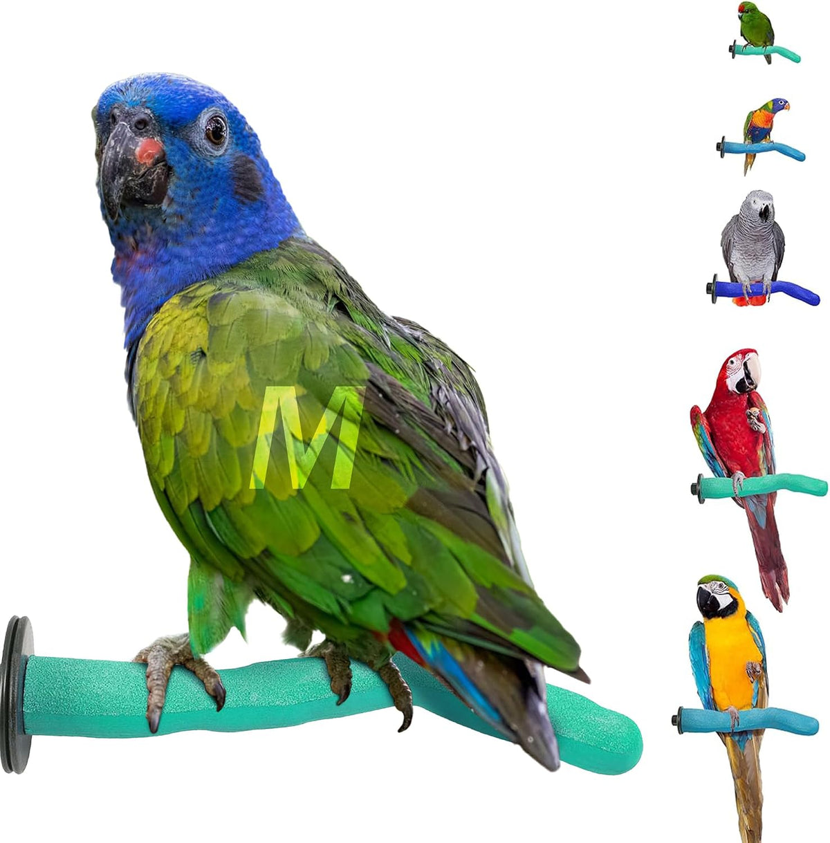 Sweet Feet and Beak Safety Pumice Bird Perch, Small Pedicure Perch, Green - Image 10