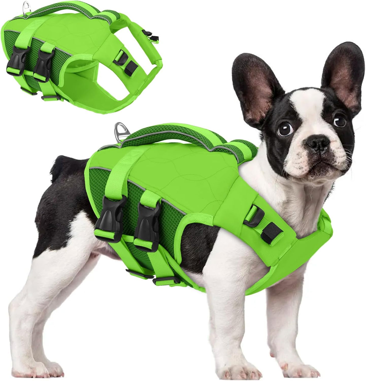 ASENKU Dog Life Jacket, High Floatation Dog Swimming Vest with Rescue Handles for Small Medium Large Dogs, Pet Safety Swimsuit Preserver for Pool Beach Boating (LakeGreen, L) - Image 11
