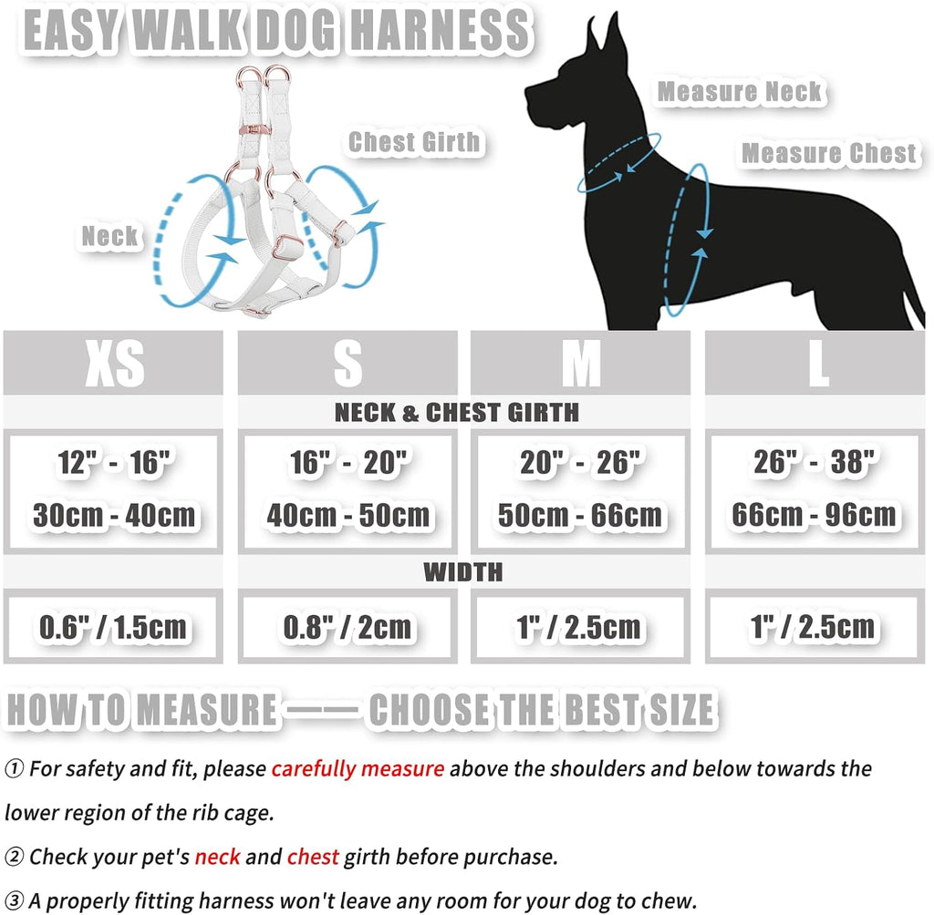 Back view of dog wearing AaufiLux white harness