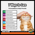 Authentic American imported daily wellness soft chews for adult cats
