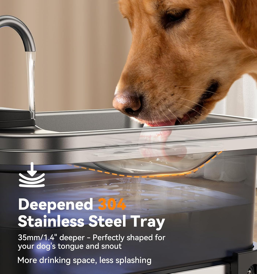 Internal components and filtration system of pet fountain