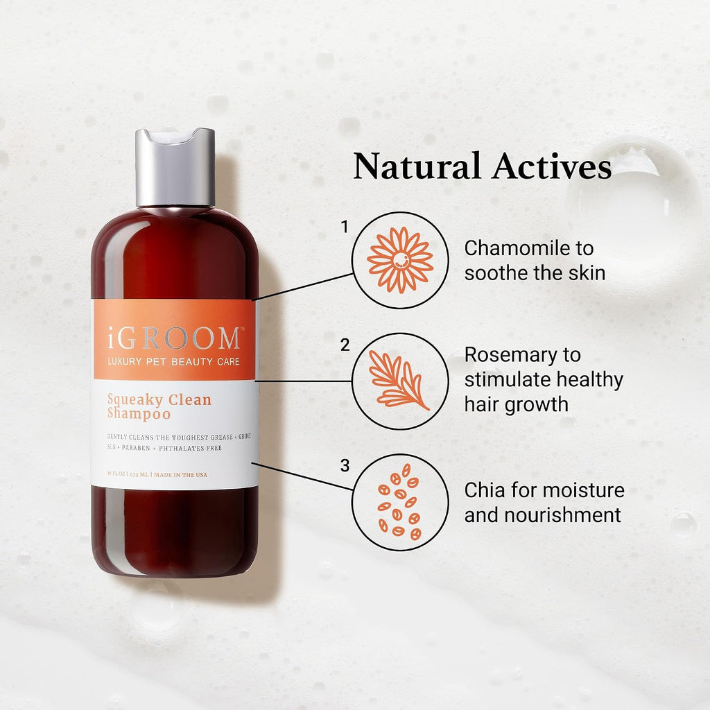 Concentrated 16 to 1 dilution ratio dog cleaning product