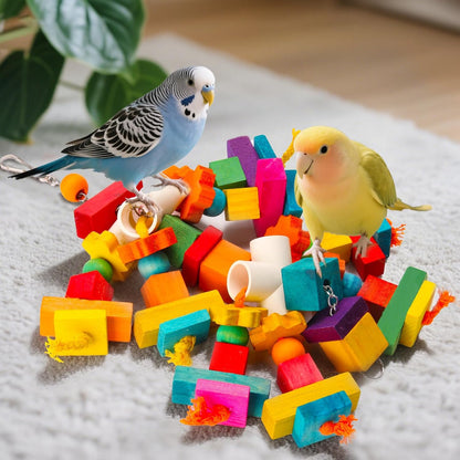 African Grey parrot interacting with the Kyouki natural wood chewing block toy.