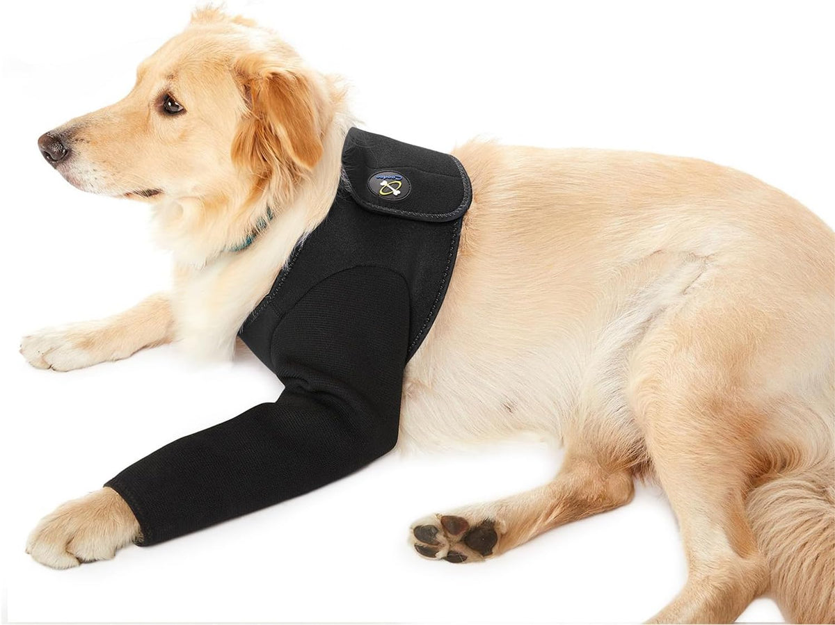 Coodeo waterproof pet sleeve protecting stitches during outdoor grass play