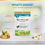 NaturVet Quiet Moments salmon flavored soft chews for travel motion sickness relief