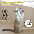 Cat playing and chasing MeoHui feather teaser toy indoors