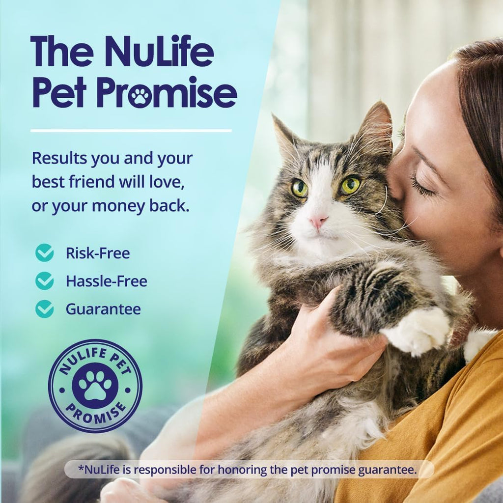 Cat consuming food mixed with NuLife Natural Pet Health wild salmon oil liquid