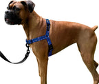 ShawnCo Dream Walk No-Pull Dog Harness- Adjustable, Comfortable, Easy to Use Pet Halter to Help Stop Pulling for Small, Medium and Large Dogs (Oceanic Blue, L) - Image 13